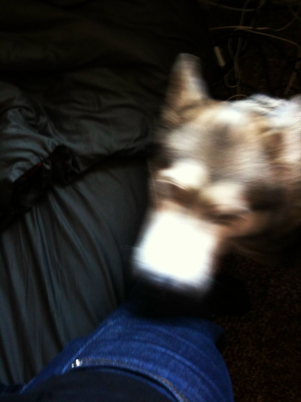 Клим Богданов | Санкт-Петербург