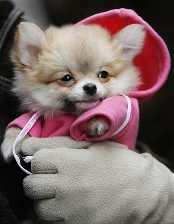 №16, Катюша Мельниченко, Тайшет №16, Катюша Мельниченко, Тайшет