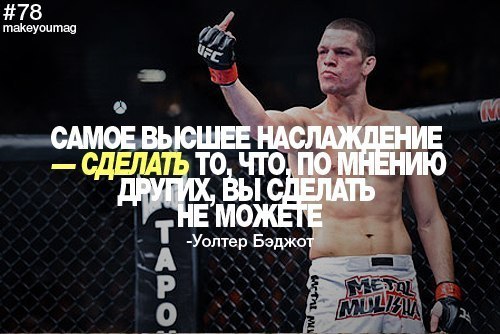 Daniil Tsvetkov | Санкт-Петербург