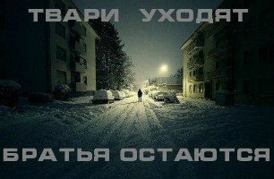 №99, Евгения Лагутина, Киев №99, Евгения Лагутина, Киев