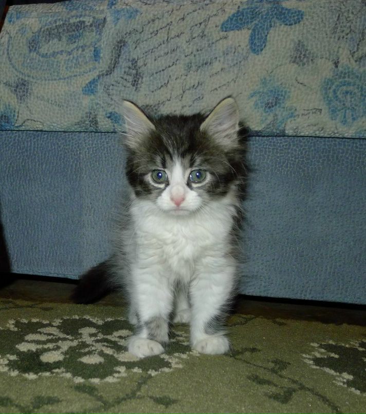 Настена Абрамова | Санкт-Петербург