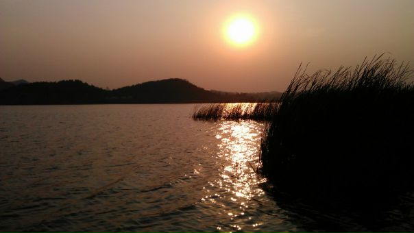 №63, Mohammed Kamal, Dubai №63, Mohammed Kamal, Dubai