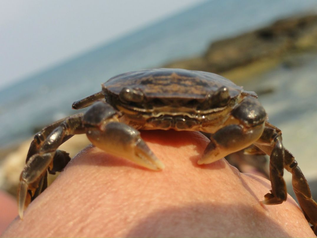 Ирина Розакова | Москва