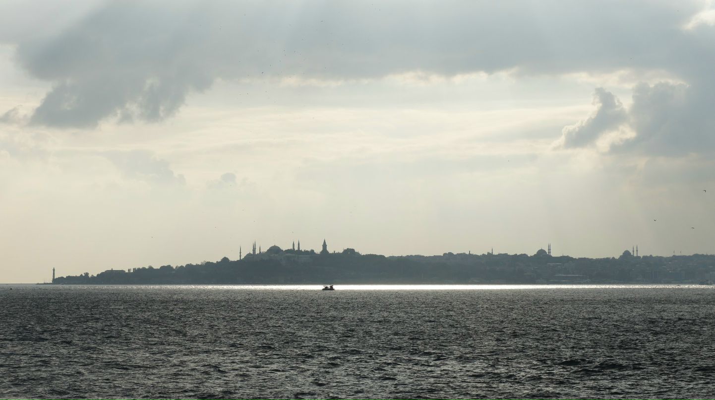 Александр Петров | Москва