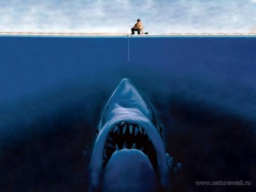 Алексей Маховиков | Санкт-Петербург