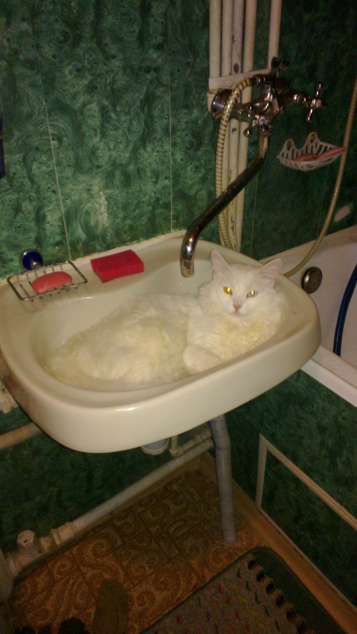 Серёжа Собин | Москва