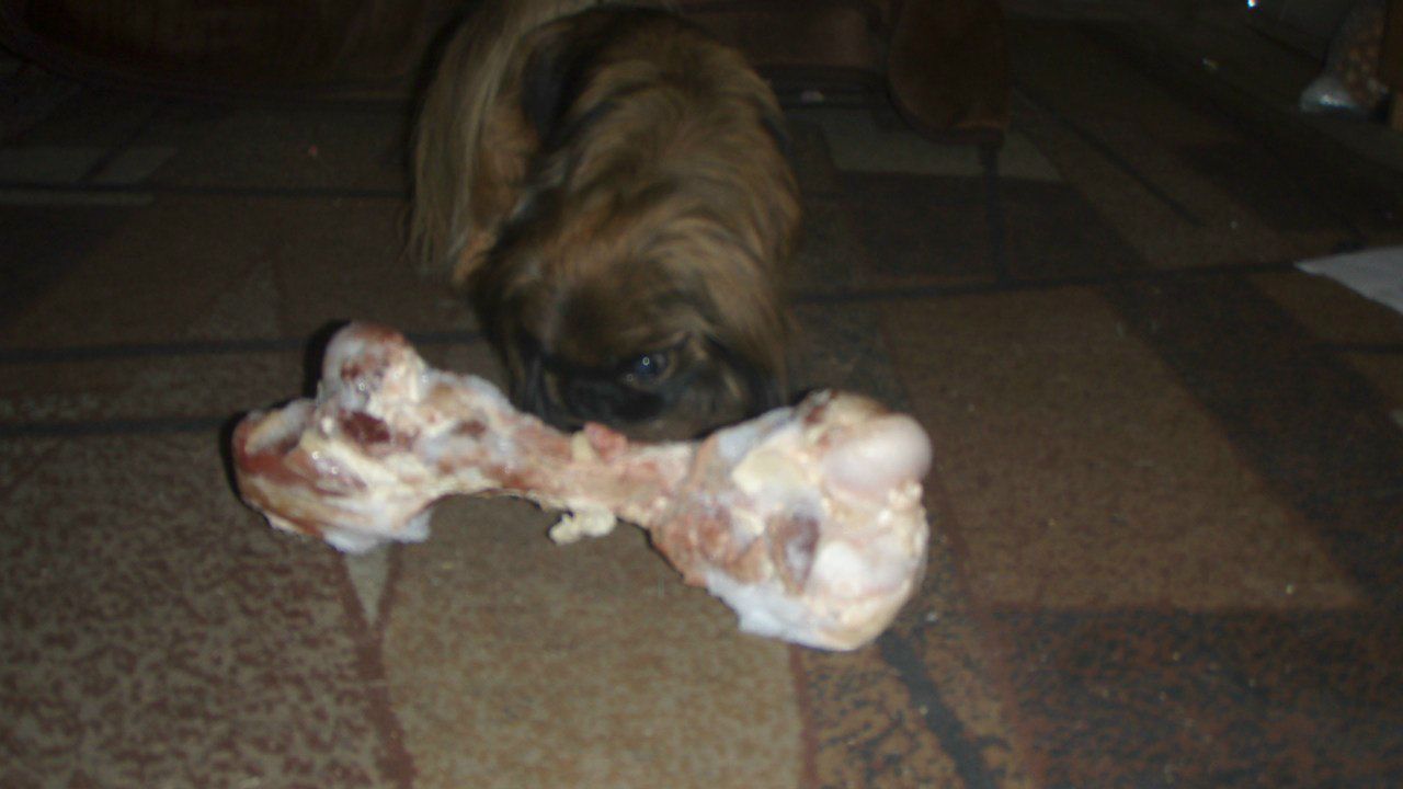 Галина Булачек | Магнитогорск