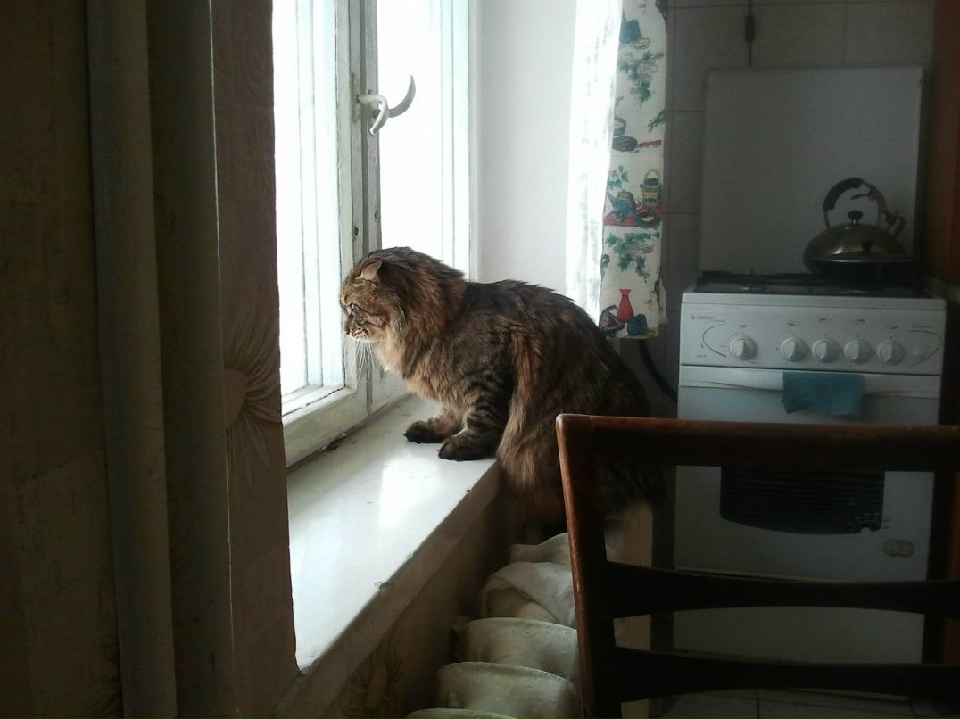 Таня Балакирева | Киев