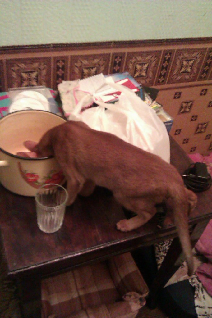 Михаил Ефимов | Москва