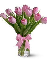 Юлия Цыганкова | 