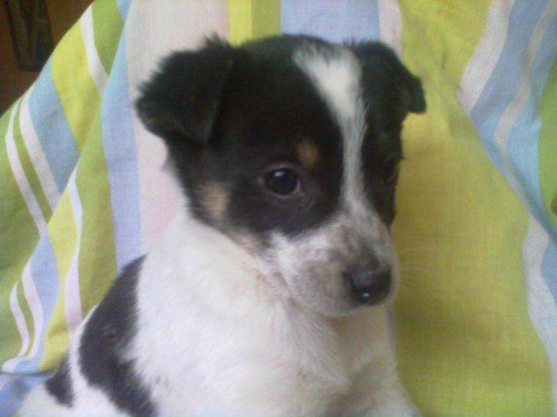 Санька Родионова | Москва