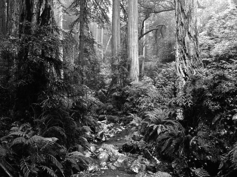 Никита Шеин | Sydney