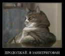№14 Миша Бурлачко : профиль, фото, статус - ВКонтакте