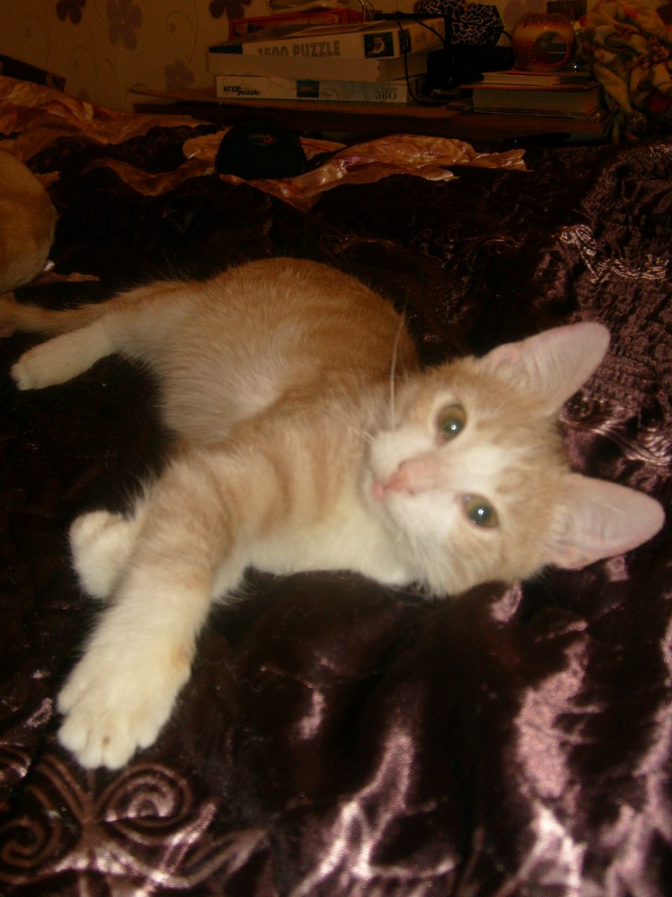 Валерия Люба | Великий Новгород