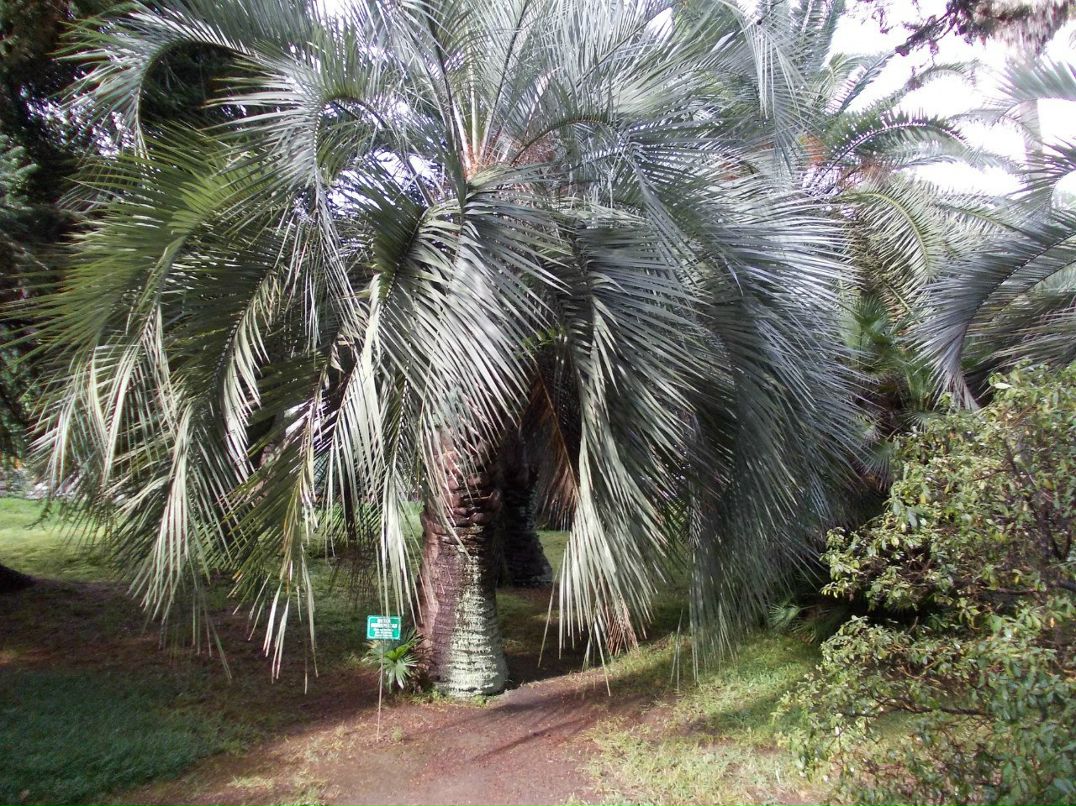 Дима Кондратьев | Пермь