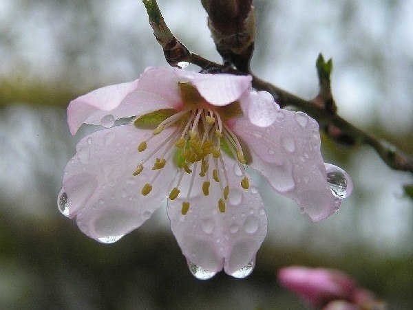 Маша Сива | Здолбунов