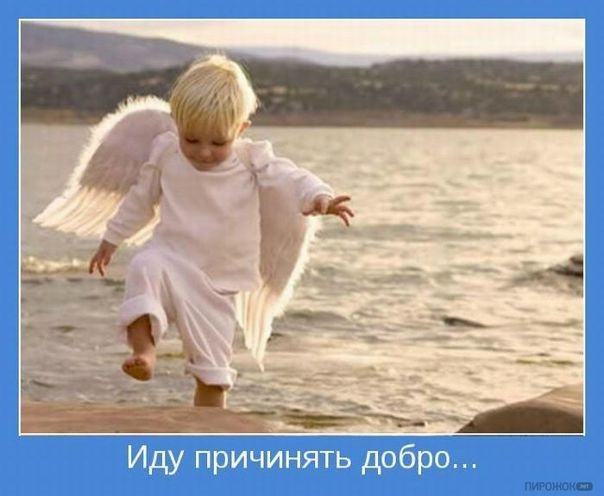 №5, Константин Хамов №5, Константин Хамов