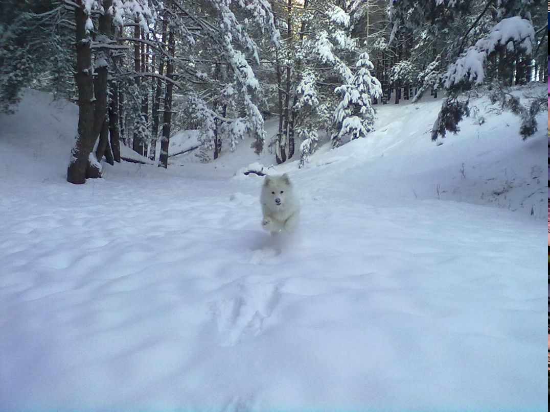 Роман Белин | 