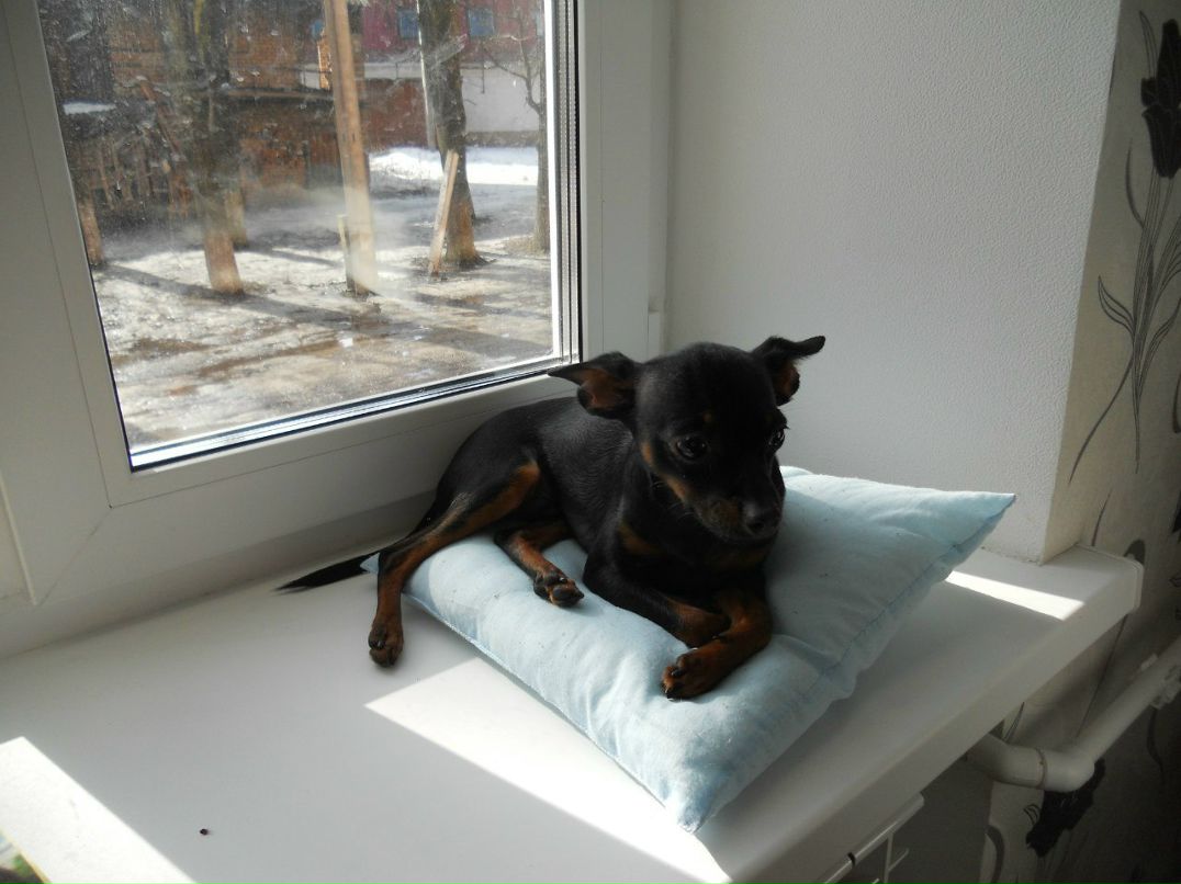 Margo Tixonova | Псков