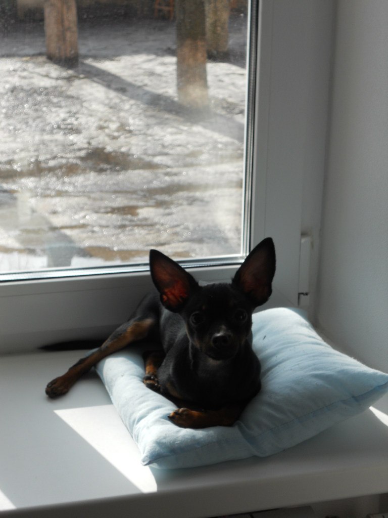 Margo Tixonova | Псков