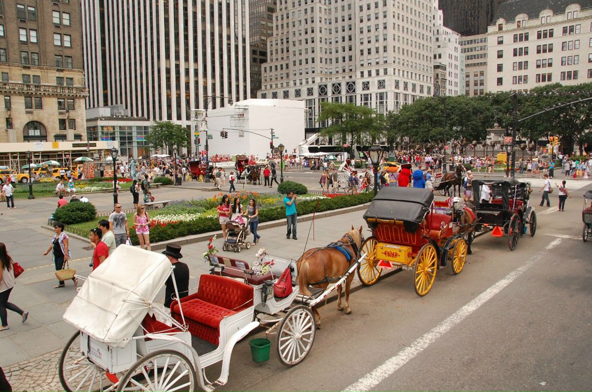 Алеся Гнидая | Запорожье