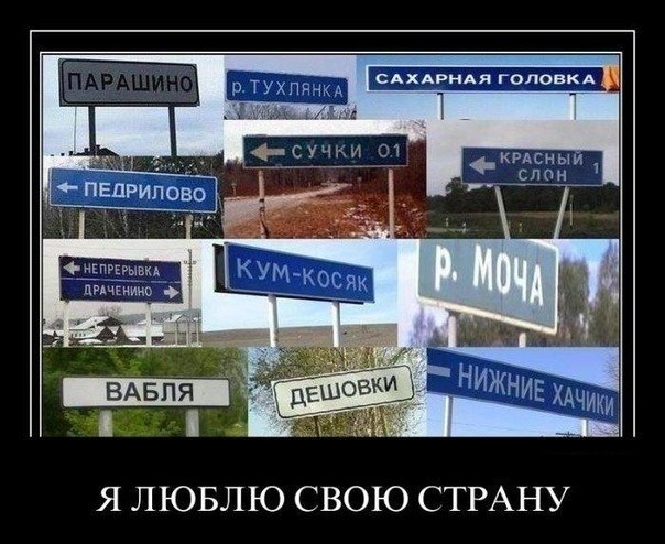 Евгения Пронина-Трифонова | Калининград