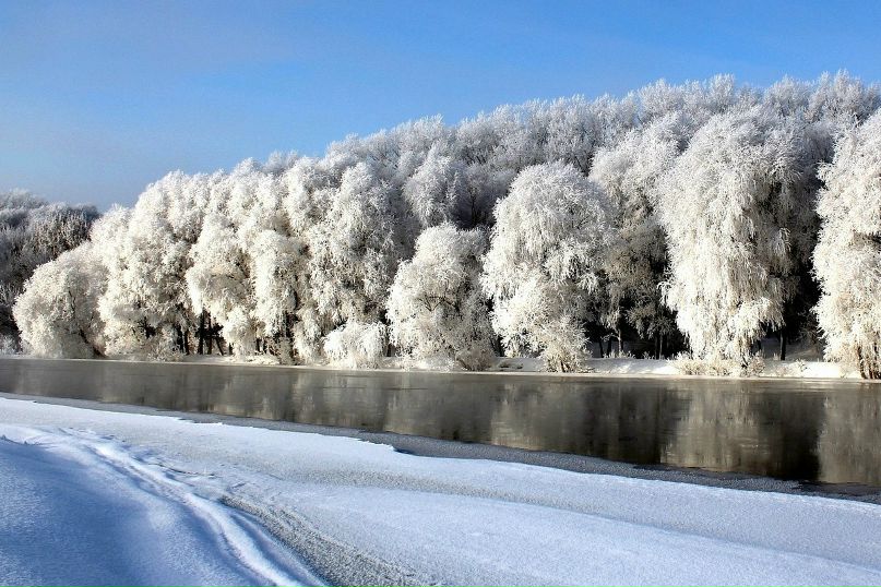 Дмитрий Равенко | Ковдор