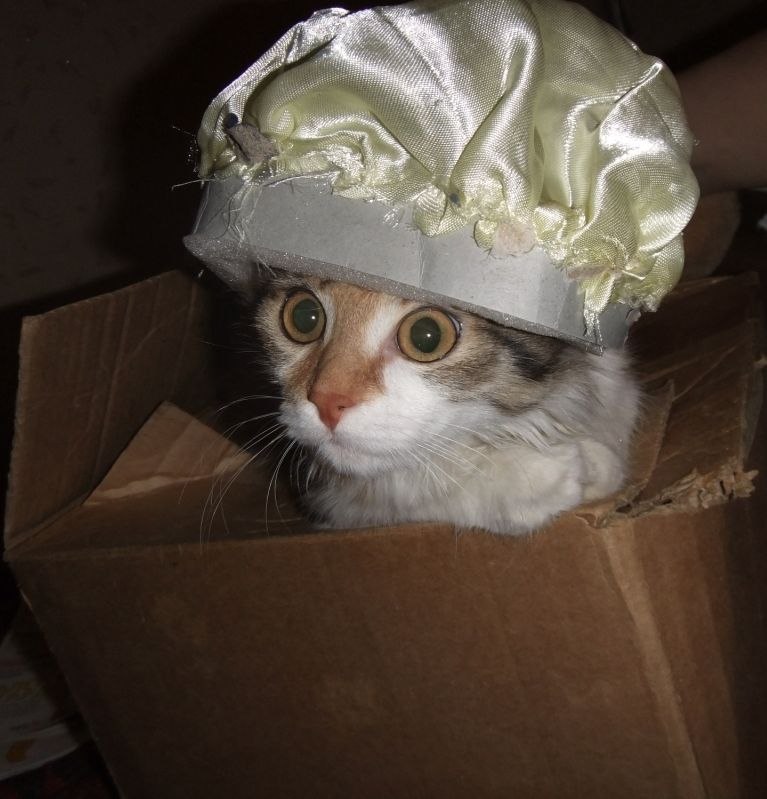 Анна Бучкова | Рязань