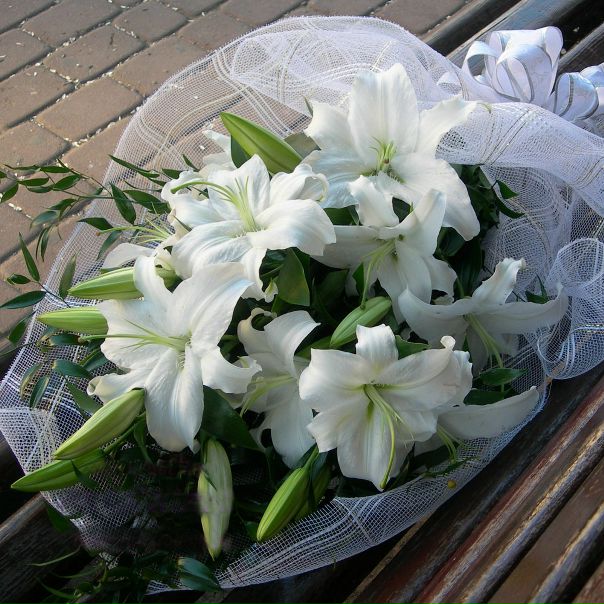 №67, Ася Шамова, 38 лет, Рязань №67, Ася Шамова, 38 лет, Рязань