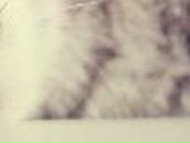 Алёна Гончарова | Екатеринбург