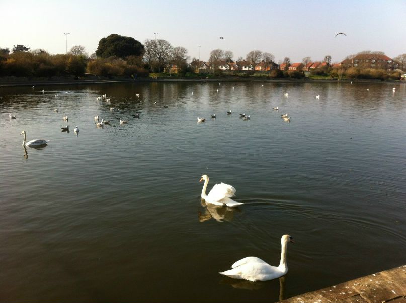 Роман Бахтин | Саратов