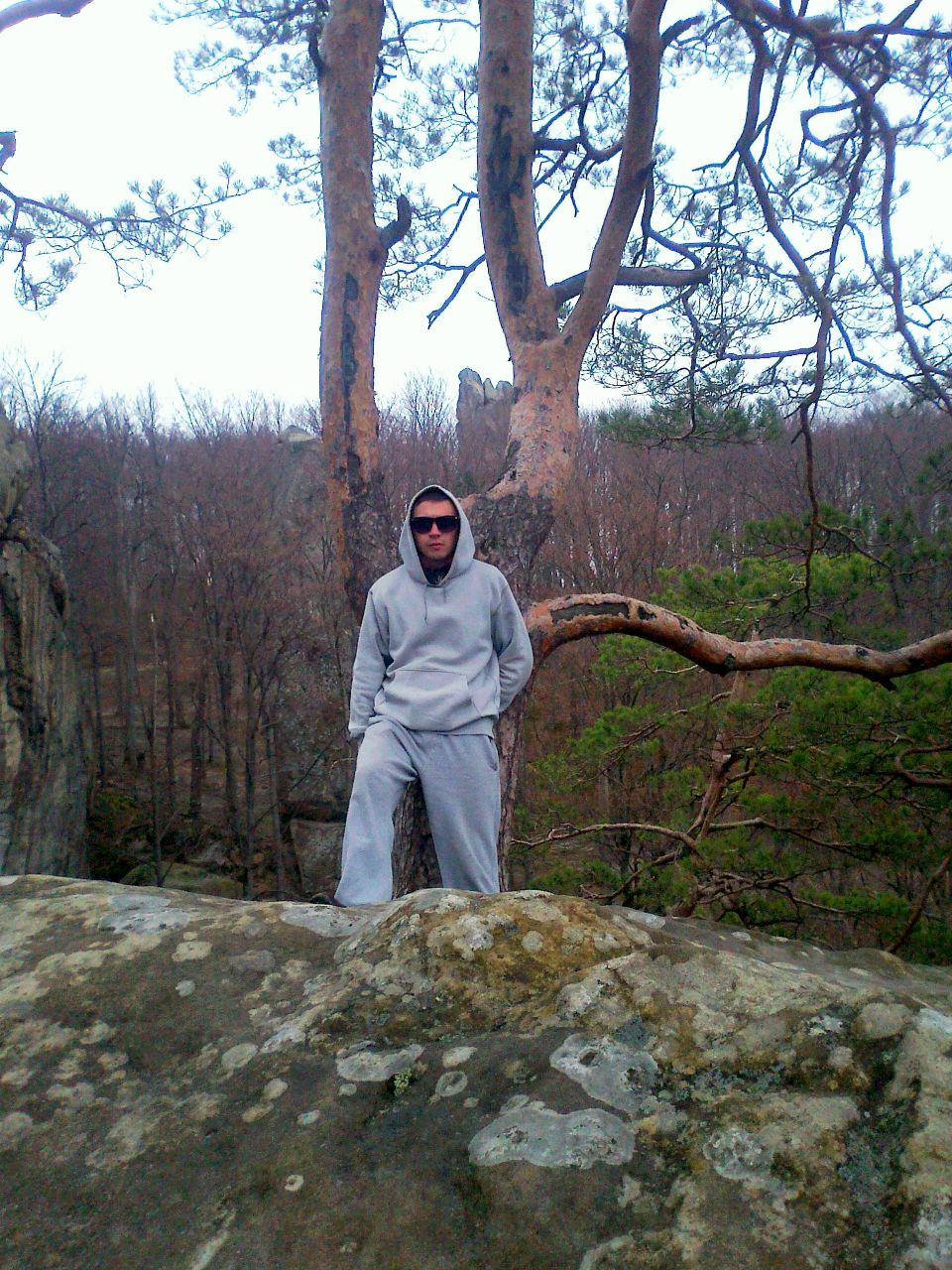 Нимефа Arp Тёмный | Львов