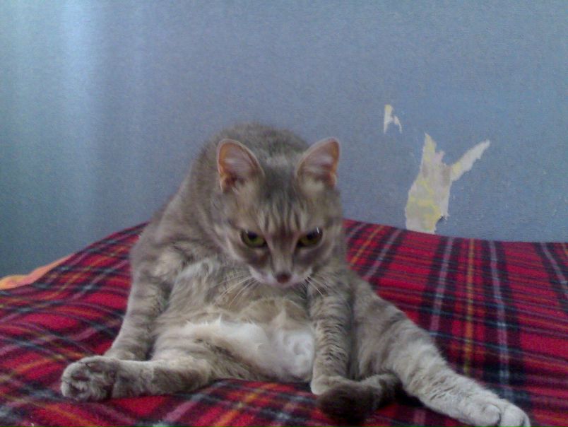 №28, Влад Владов, Тольятти №28, Влад Владов, Тольятти