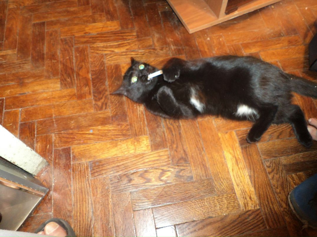 Аська Прибылова | Санкт-Петербург