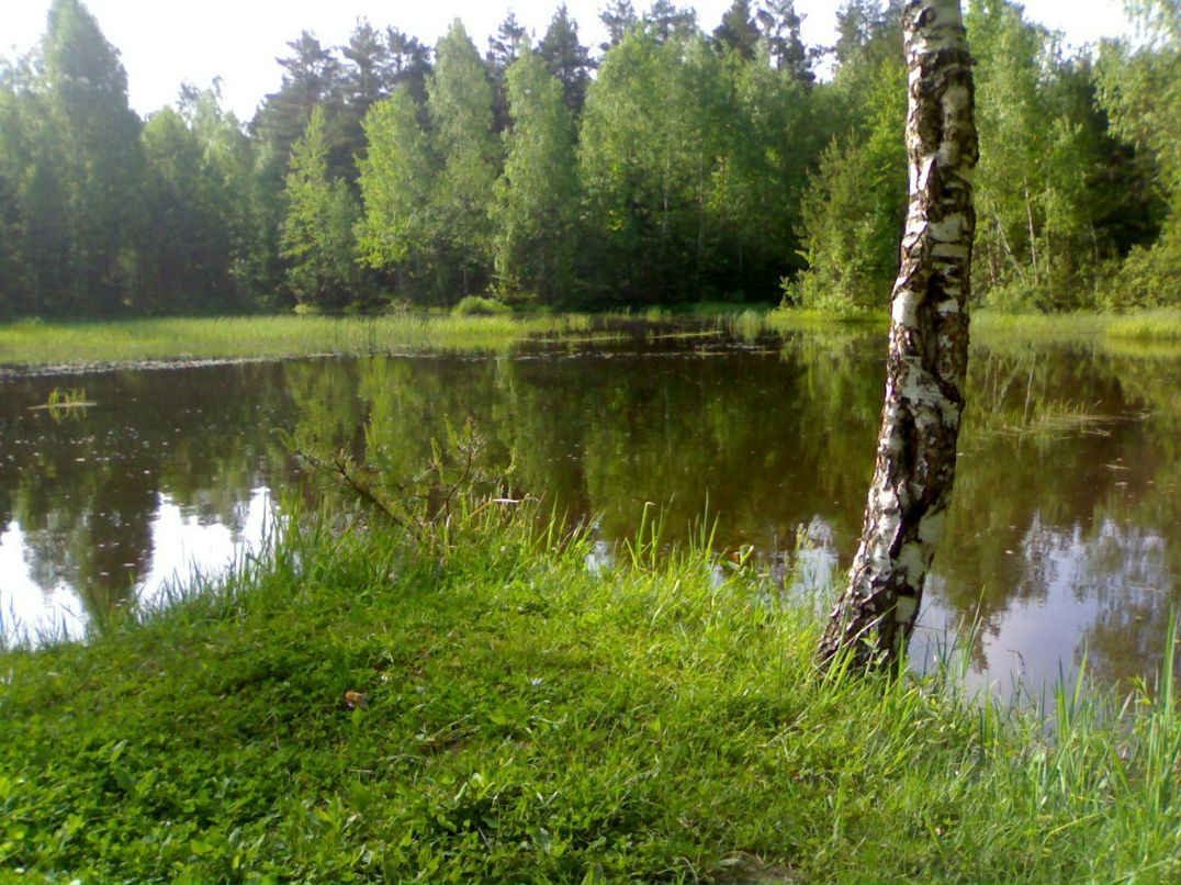 Вадим Винник | Москва