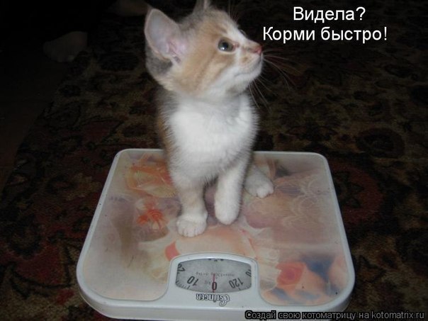 Евгения Игошина | Санкт-Петербург