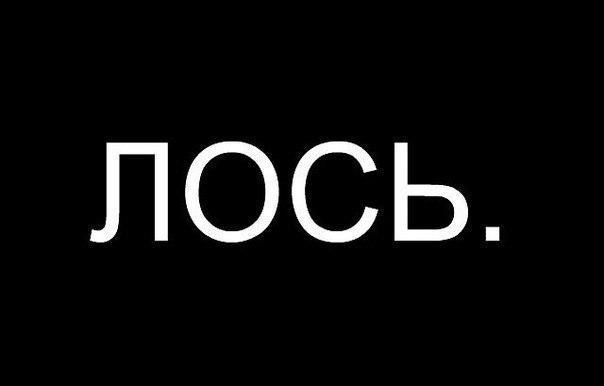 Антон Колесников | Москва