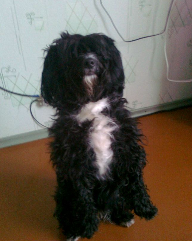 Марина Захарова | Мурмаши