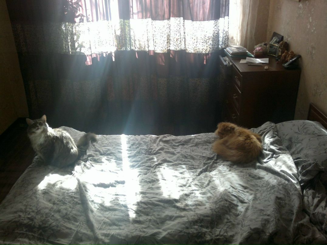 Роман Смирнов | Санкт-Петербург