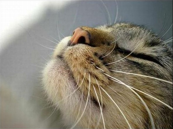 Леонид Печинский .ιllιlι Leon ιlιllι. | Москва