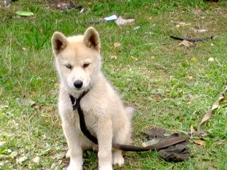 Ира Ражева | Валдай