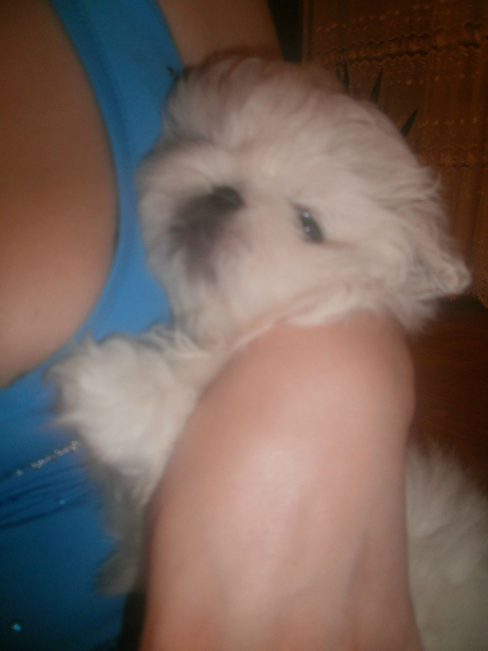 Кристина Фурман | Киев