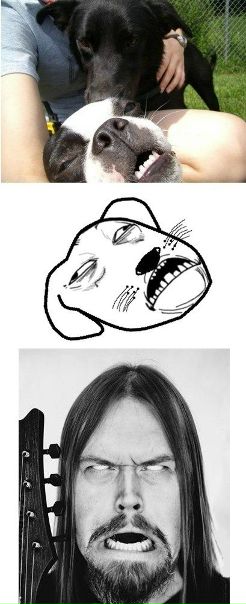 №70, Александр Ломтев, 31 год, Днепр (Днепропетровск) №70, Александр Ломтев, 31 год, Днепр (Днепропетровск)