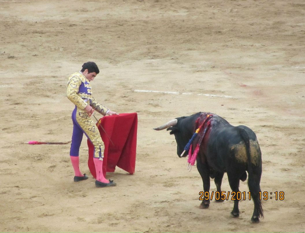 Оля Вишневская | Краснодар