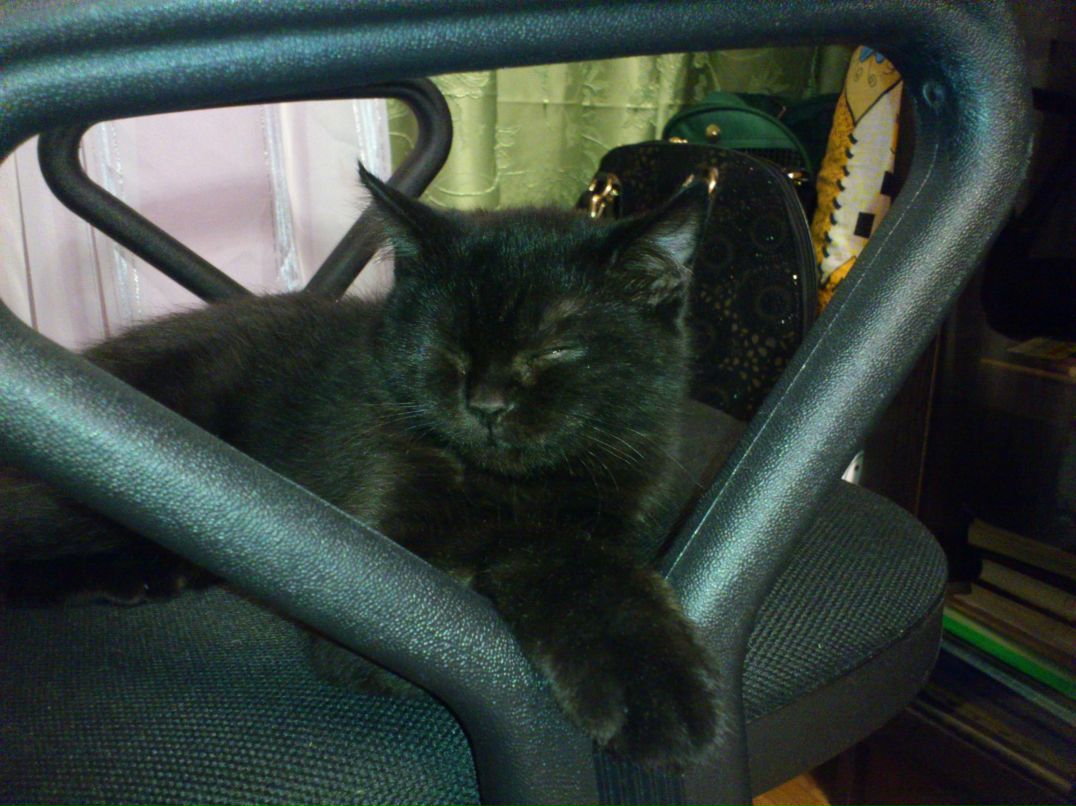 Дмитрий Гряков | Новосибирск