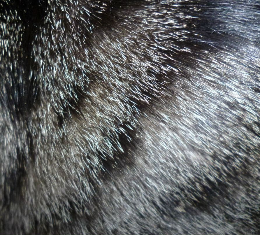 Елена Киблер | Красноярск