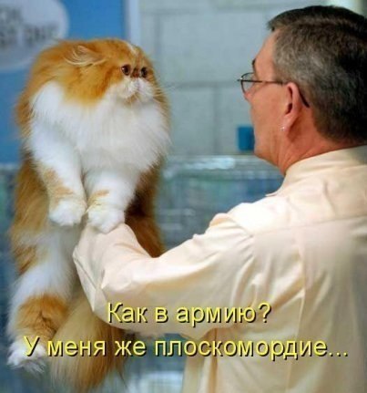 Александр Пьяных | Заозерск