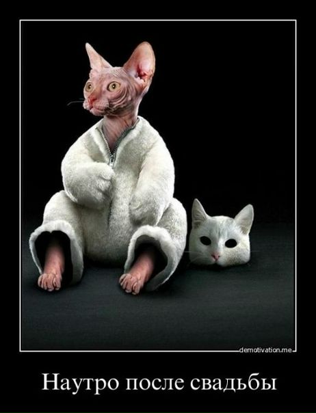 №3, Анна Бауэр-Корнева, Екатеринбург №3, Анна Бауэр-Корнева, Екатеринбург