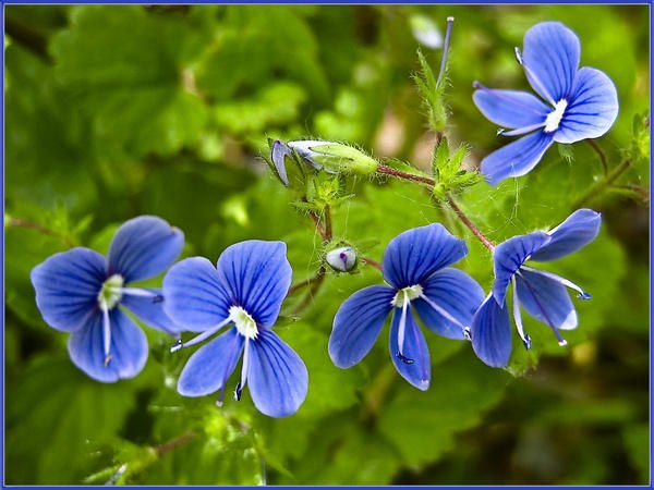 Ангелина Наумчик °•♥ஜ♥•°. | Санкт-Петербург