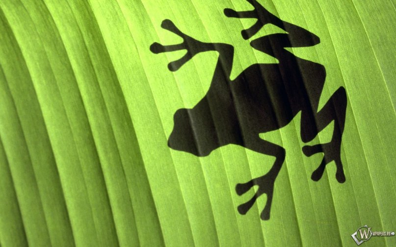 Юлька Степанова | Москва